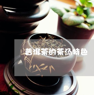 普洱茶的茶汤特色/2023041263925