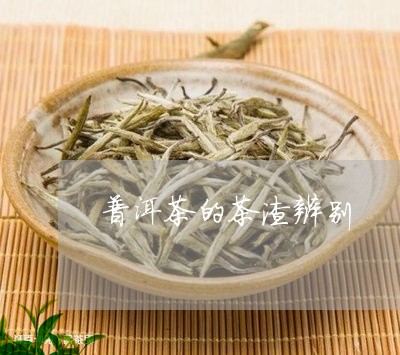 普洱茶的茶渣辨别/2023031803041