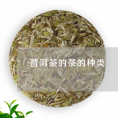 普洱茶的茶的种类/2023041190724