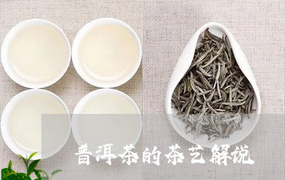 普洱茶的茶艺解说/2023040933804