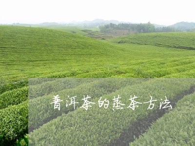 普洱茶的蒸茶方法/2023041167069