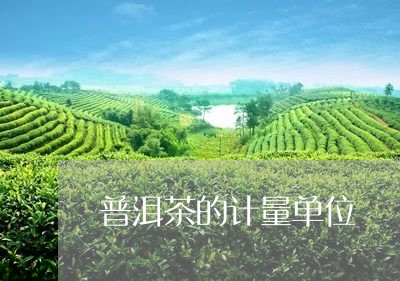 普洱茶的计量单位/2023031660715