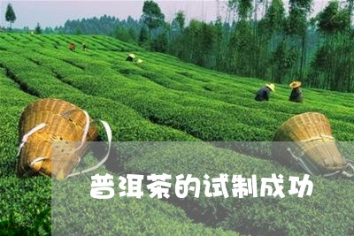 普洱茶的试制成功/2023033006371