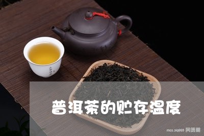 普洱茶的贮存温度/2023041016159