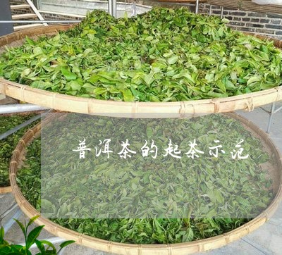 普洱茶的起茶示范/2023031689393