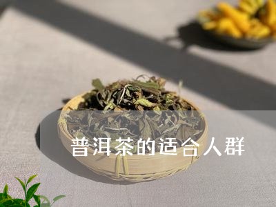 普洱茶的适合人群/2023031897181