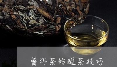 普洱茶的醒茶技巧/2023041471694