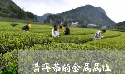 普洱茶的金属属性/2023041094957