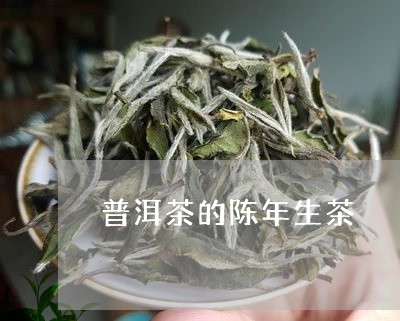 普洱茶的陈年生茶/2023041104926