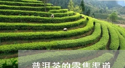 普洱茶的零售渠道/2023033165160