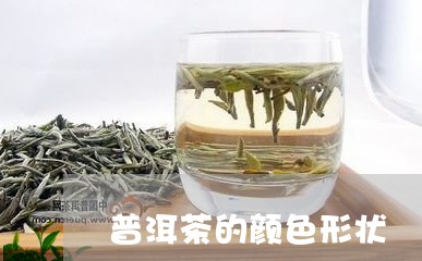 普洱茶的颜色形状/2023040994050