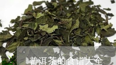 普洱茶的食谱大全/2023041009693