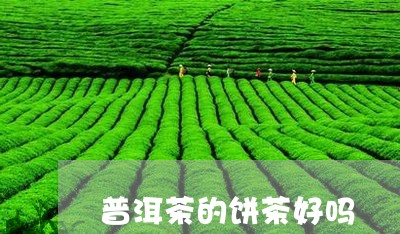 普洱茶的饼茶好吗/2023041178362