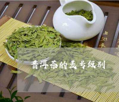 普洱茶的麦号级别/2023033180527