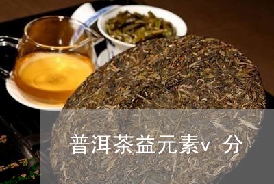 普洱茶益元素v分/2023031709391