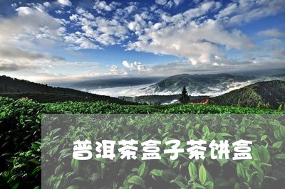 普洱茶盒子茶饼盒/2023031772936