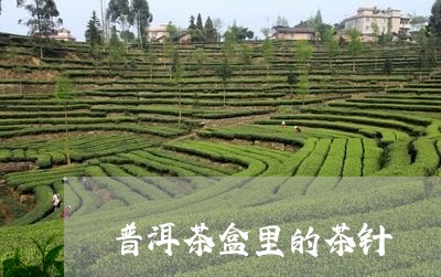 普洱茶盒里的茶针/2023041161081