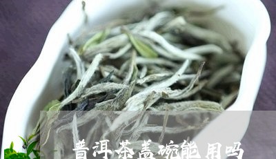 普洱茶盖碗能用吗/2023040946191