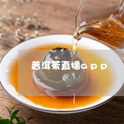 普洱茶直播app/2023041017480