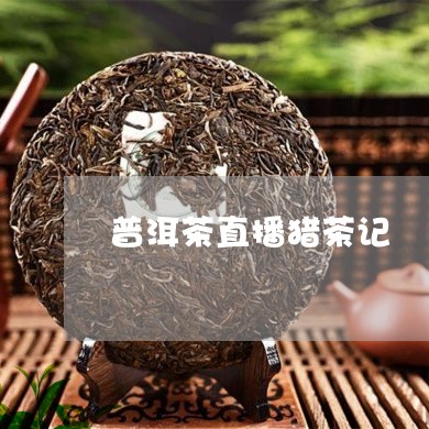 普洱茶直播猎茶记/2023041191614