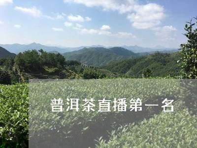 普洱茶直播第一名/2023033019594