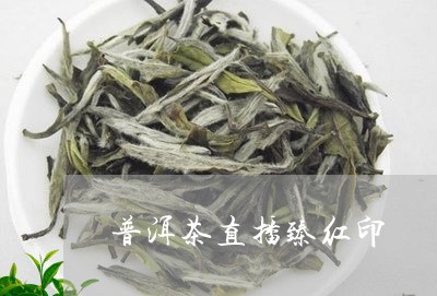 普洱茶直播臻红印/2023041381693