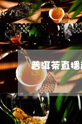 普洱茶直播趋势图/2023031650804