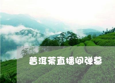 普洱茶直播间弹幕/2023041277261