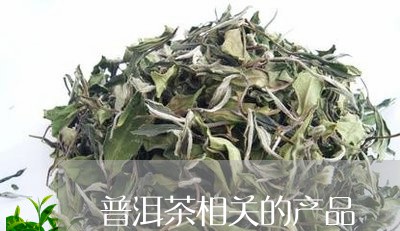 普洱茶相关的产品/2023041042839