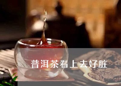 普洱茶看上去好脏/2023033161695