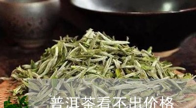 普洱茶看不出价格/2023033031514