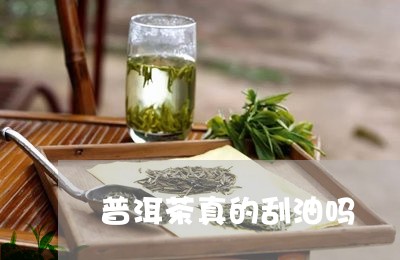 普洱茶真的刮油吗/2023031790514