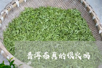 普洱茶真的很火吗/2023033139495