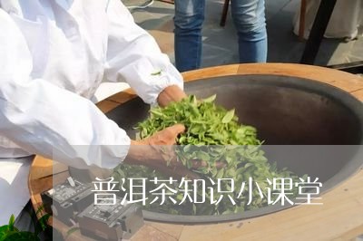 普洱茶知识小课堂/2023041067705