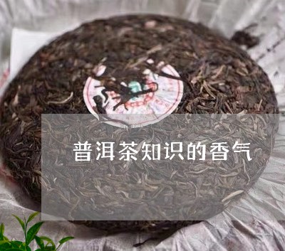 普洱茶知识的香气/2023041097371