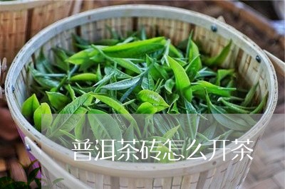 普洱茶砖怎么开茶/2023040911794