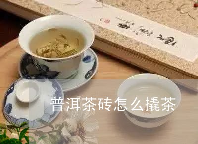 普洱茶砖怎么撬茶/2023041444036