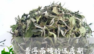 普洱茶砖的保质期/2023031813804