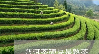 普洱茶硬块是熟茶/2023041196169