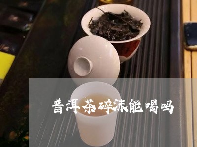 普洱茶碎沫能喝吗/2023033133948