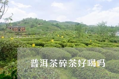 普洱茶碎茶好喝吗/2023031604040