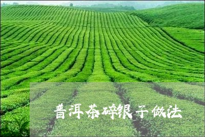 普洱茶碎银子做法/2023031740160