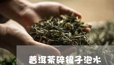 普洱茶碎银子泡水/2023041125271