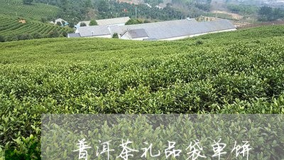 普洱茶礼品袋单饼/2023033040693