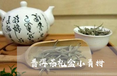 普洱茶礼盒小青柑/2023041288504