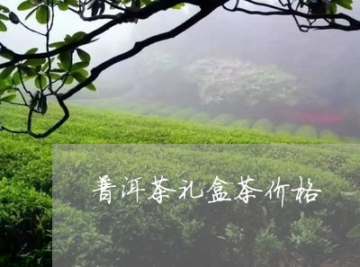 普洱茶礼盒茶价格/2023041025947