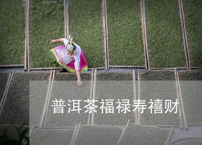 普洱茶福禄寿禧财/2023033136379