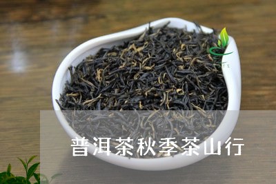 普洱茶秋季茶山行/2023041051936