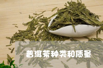 普洱茶种类和质量/2023040910404