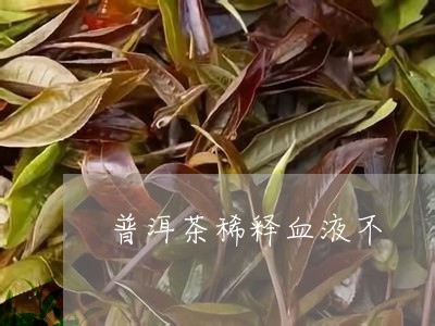 普洱茶稀释血液不/2023041083036